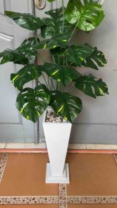 Pohon artificial pohon monstera latex premium tinggi 110cm tanaman sintesis tanaman dekorasi rumah  monstera berikut pot kayu
