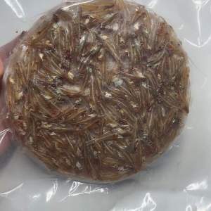 Bánh Tráng Cá Cơm Cà Mau - Túi Hút Chân Không 500g - Đặc Sản Cà Mau