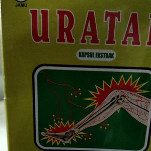 IBOE JAMU HERBAL KAPSUL EKSTRAK