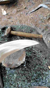 ALAT PEMBASMI RUMPUT GAJAH