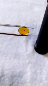 รอบที่-1 ก-24 อำพันพม่าแบบมีแมลง อำพันแท้ 100%