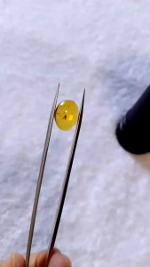 รอบที่-1 ก-22 อำพันพม่าแบบมีแมลง อำพันแท้