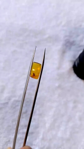 รอบที่-1 ก-23 อำพันพม่าแบบมีแมลง อำพันแท้ 100%