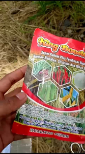 PROMO PUPUK KING BOOSTER KEMASAN 150 GRAM TERLARIS DAN TERMURAH