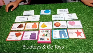 GAZ TOYS FLASH CARDS BENTUK DAN WARNA MAINAN EDUKATIF ANAK UNTUK SPEECH DELAY TERLAMBAT BICARA/ALAT TERAPI WICARA