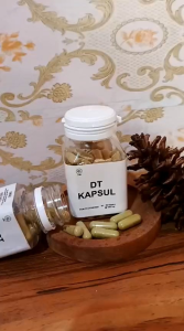 DT KAPSUL PENGHANCUR LEMAK ORIGINAL ISI 60 butir Dijamin ORI 100℅