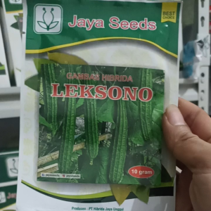 Bibit Oyong Hibrida LEKSONO 10 GRAM JAYA SEED Setara Anggun F1 Panah Merah