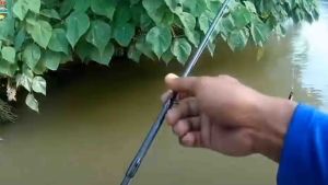 Starlit Popper 3DS SHL502 6.5cm / 7g / Floating / Top water Lure 4D Sebarau Hampala