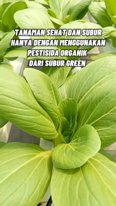 PESTISIDA ORGANIK CAIR subur green pembasmi dan pengendalian hama tanaman termurah bisa cod kemasan 500 ml