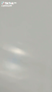 Tangkringan amplas murai muda lepas trotol d12 mm bacip aneka tangkringan bandung original