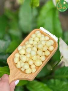 TỎI CÔ ĐƠN NGÂM CHUA NGỌT - Tỏi Cô Đơn Phú Yên Sơn La - Củ Nhỏ Mẩy Chắc Củ