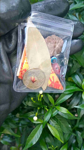All in one Lucky Charm Pampaswerte sa BuhayBlessed/Lucky Charm and Protection