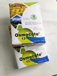 Alat bonsai berkebun Pupuk Dekastar Osmocote 13 13 13 Pupuk Tanaman kemasan 500 gram