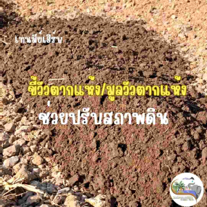 มูลวัวตากแห้ง ขี้วัวตากแห้ง บดละเอียด แห้งสนิท 2กิโลกรัม