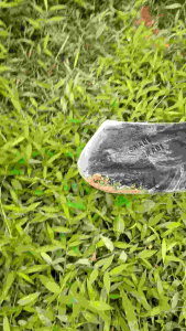 KORED RUMPUT PACUL MINI TENGKUIT