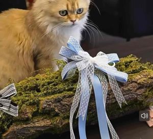 [5 yards] White Lace Fabric Woven Ribbon Wrapping Ribbon Gift Box Packaging Headband Flower Ribbon DIY Craft 无弹蕾丝