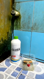 Cleer Pembersih Keramik Cairan Pembersih Kerak Lumut Keramik Kamar Mandi