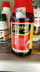 Insektisida Spontan 200 ml: Solusi Alami & Aman