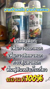 นาโนแบล็ค สาหร่ายสกัด+อะมิโน เปิดตาดอก บำรุงต้น ฟื้นฟูราก สารากัดสาหร่ายทะเล20%สกัด +อะมิโน นาโนแบล็ค เป็นสารอินทรีย์ที่ากัดจากสาหร่ายทะเล