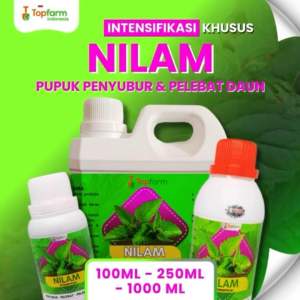 Pupuk Tanaman Nilam Terbaik / Pupuk Booster Daun Peningkat Minyak Nilam / Pupuk Pelebat Daun Nilam