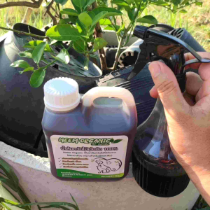 น้ำส้มความเป็นไปได้ ไม้สะเดา 4 ลิตร น้ำเป็นไปได้ ณ น้ำส้มควันไม้สะเดา