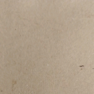Brownis ketan keju karamel - diameter 16cm ukuran kecil (area Jawa Barat & Jawa tengah)