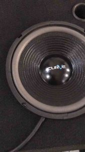 Speaker 10 Inch curve 25H100SUWPP Woofer Curve 25H100 SUWPP