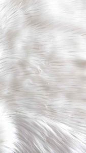 PAKET BUNDLING SERAGAM ABBA MERAH PUTIH SD Atasan Lengan Panjang Rok Turping Merah Panjang SD