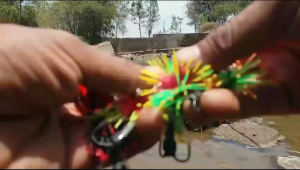 umpan memancing Jaws trompet 25cm dizzy frog B&J ONL SHOP