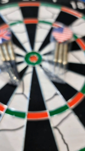 Champion FLOCKED PAPER DARTBOARD with free 6 pieces dartpins