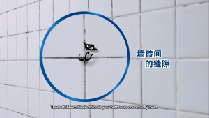 Magiclean Stain & Mold -Value Pack- 400ml + refill 400ml