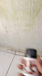 Doping Suplemen Harian Ayam Aduan Vitamin Petarung Super Laga