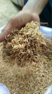 Media Tanam Organik Sekam Padi mentah Super Kering Kemasan 1 kg Pupuk Organik Berkebun dan Bertani