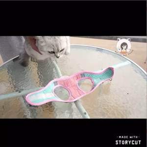 [READY STOCK] Pet Harness Leash Dog Cat Harness Leash Collar Rope | Tali Kuching Berjalan | 宠物牵引绳 猫狗绳 猫狗胸背绳 遛猫狗