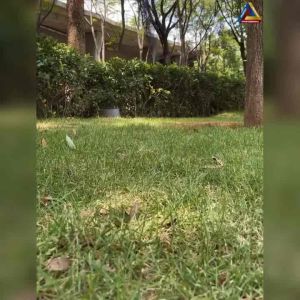 สมอบกเหล็กหล่อสีดำสีเงิน รุ่นอัพเกรด ขนาด 20x30x40cm แข็งแรงทนทาน