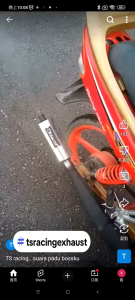 Y110 SS1 SS2 TS Racing Standard Racing Ekzos Exhaust Motorcycle