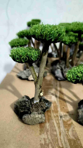pohon bonsai aquascape MINI bonsai rumput sintetis tinggi kerleb 11 cm