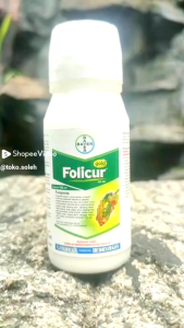 Fungisida Folicur Gold 430sc 240 ML: Keuntungan & Manfaat