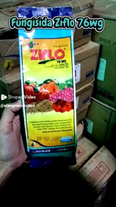 Fungisida ZIFLO 76wg 800 Gram Plus Zink++