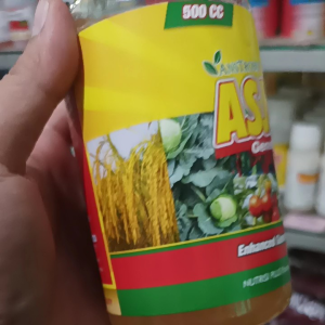 PUPUK nutrisi ASJAR generatif untuk Tanaman + Paklobutrazol + Boron + GA