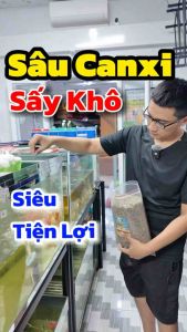 "Hoàn tiền đến 10%" SÂU CANXI SẤY KHÔ CHO CÁ CHIM VÀ BÒ SÁT LARVA FOOD BLACK SODIER FLY