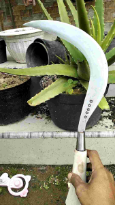 Arit Rumput Madura Asli & Pande Tradisional