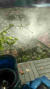 [BAO XÌ BAO CHẠY BAO ÊM] bơm tăng áp phun sương làm mát chắn bụi tưới lan xịt xe gia súc gia cầm 24V siêu bền 24/7