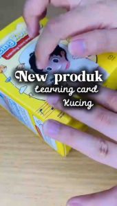 ADEEVATHAR Flash Card Mainan Edukasi Anak Bentuk Kucing 4 Bahasa | Mesin Pengenalan Kosa Kata dan Bahasa inovatif | Vocabulary Learning Machine | Mesin Pembelajaran Kartu Elektronik | Kartu Flash Audio