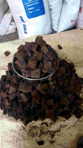Akar Pakis Chip Dadu Cacah Potong Kecil 1kg Media Tanam Untuk Anggrek Aglonema