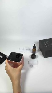 EARTH AD-2 Atomizer Replacement