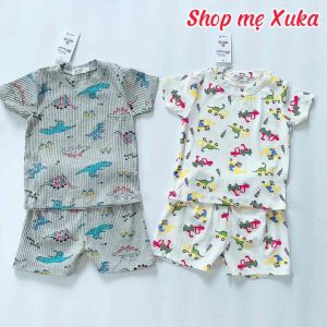 Bộ bé trai chất tăm lạnh xuất Nhật