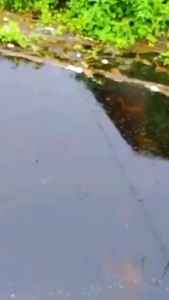 kacamata polaris cocok buat pemancing