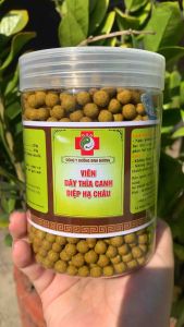 (SALE KHỦNG 30%-60%) Viên dây thìa canh diệp hạ châu Dưỡng sinh đường giúp hạ đường huyết giảm mỡ- Qùa Tây Bắc 27