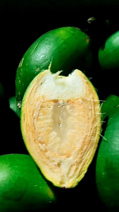 2โล199฿หมากอ่อนร่องน้ำ หมากหวานอ่อน ตัดสดใหม่ทุกออเดอร์ หมากชว่งนี้เริ่มขาดคอ หายาก หมากนอกฤดู